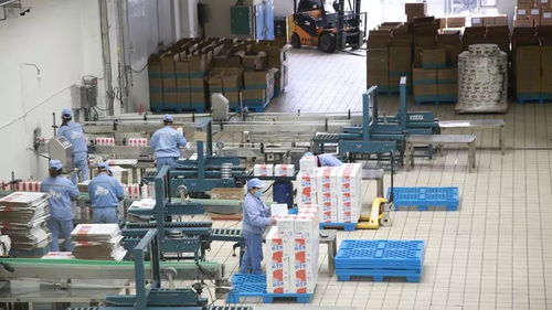 打造一片凈土，開足馬力保牛奶制品安全供應與勞動保護用品銷售