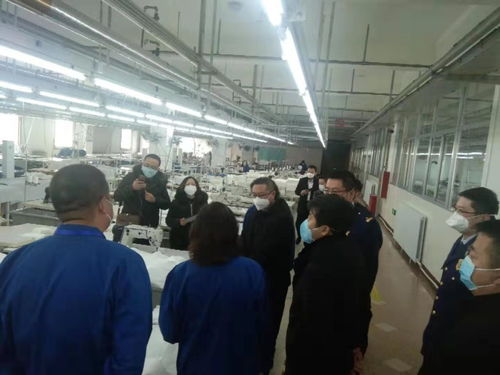 加強安全監管，助力疫情防控——自治區應急管理廳為防護用品生產企業提供專項安全指導服務